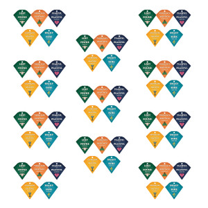 Daily Emerald Card Set (Pack of 50, Enough for 10 kids) - Emerald Crossing VBS 2026 by Answers