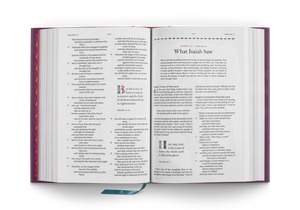 ESV The Biggest Story Holy Bible for Kids (Hardcover)