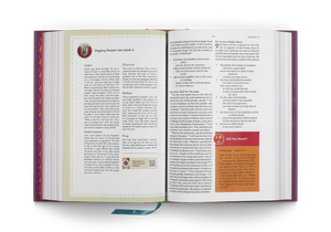 ESV The Biggest Story Holy Bible for Kids (Hardcover)