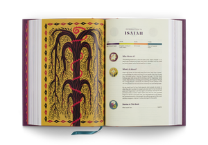 ESV The Biggest Story Holy Bible for Kids (Hardcover)