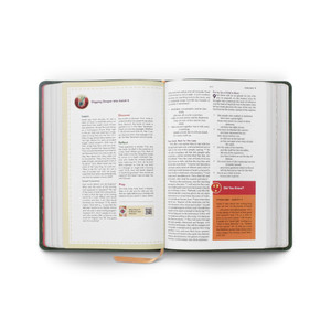 ESV The Biggest Story Holy Bible for Kids (TruTone, Dark Green, Armor Design)