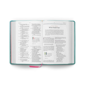 ESV The Biggest Story Holy Bible for Kids (TruTone, Teal, Waterfall Design)