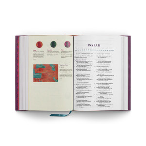 ESV The Biggest Story Holy Bible for Kids (Hardcover) - Bulk Case of 8