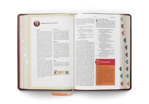 ESV The Biggest Story Holy Bible for Kids, Indexed (TruTone, Brown, Living Hope) - Bulk Case of 8