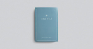 ESV Economy Bible Small Print (Paperback) - Bulk Case of 40