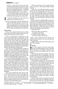 The Daily Walk Bible NIV - Case of 16