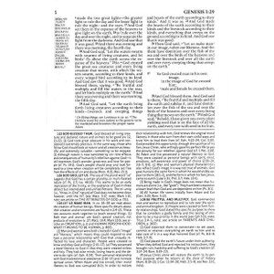 ESV Fire Bible Student Edition - Bulk Case of 16