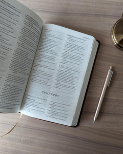 The Message Deluxe Gift Bible - Case of 20