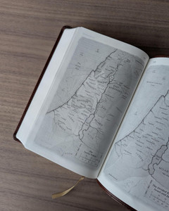 The Message Deluxe Gift Bible - Case of 20