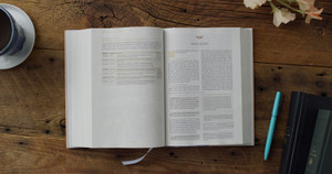 ESV Women's Study Bible: Blush Wildflower Design (Hardcover) - Case of 8