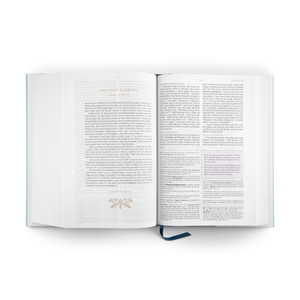 ESV Women's Study Bible: Teal (Hardcover) - Case of 8