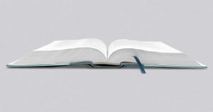 ESV Women's Study Bible: Teal (Hardcover) - Case of 8