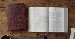 ESV Women's Study Bible: TruTone, Chestnut, Almond Tree Design - Case of 8