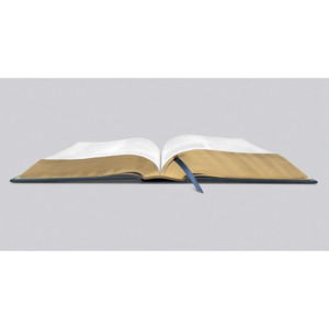 ESV Women's Study Bible: Cloth over Board, Dark Teal - Case of 8