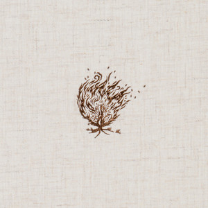 CSB Experiencing God Bible: Cream Cloth Over Board - Case of 8