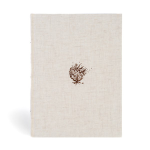 CSB Experiencing God Bible: Cream Cloth over Board, Indexed - Case of 8