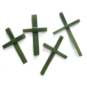 Fresh Palm Crosses (Green) 5" x 3" (Pack of 25)