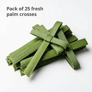 Fresh Palm Crosses (Green) 5" x 3" (Pack of 25)