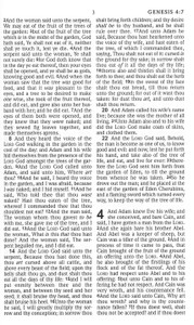 KJV Large Print Bible - Case of 16