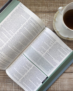 The One Year Bible for Women, KJV - Case of 12