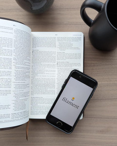 NLT Personal Size Giant Print Bible, LeatherLike, Starlight Path Brown, Red Letter - Filament Enabled - Case of 16