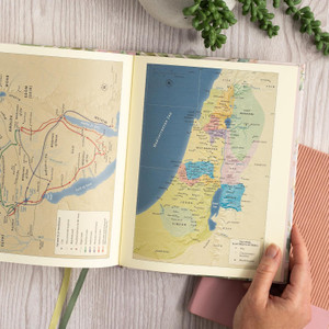 CSB Notetaking Bible, Revive Our Hearts Edition, Floral Cloth Over Board - Case of 8