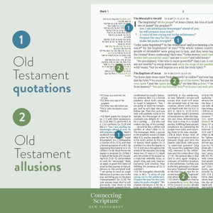 CSB Connecting Scripture New Testament, Hardcover - Case of 12