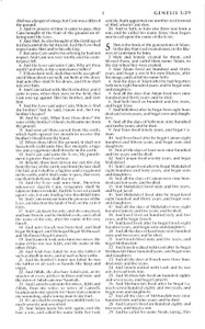 KJV Pew Bible - Case of 24