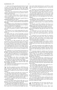 KJV Pew Bible - Case of 24