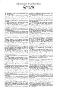 KJV Pew Bible - Case of 24