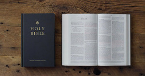 ESV Church Bible, Large Print, Red Letter - Case of 24