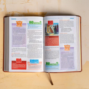 CSB One Big Story Bible, Brown LeatherTouch - Bulk Case of 18