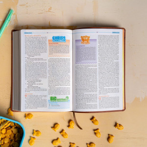 CSB One Big Story Bible, Brown LeatherTouch - Bulk Case of 18