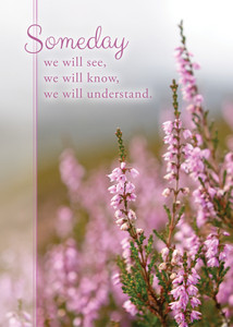 Boxed Cards - Encouragement - Day by Day - Pack of 12