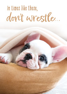 Boxed Cards - Get Well - Well Whiskers - Pack of 12