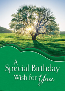Boxed Cards - Birthday - Brightest Blessings - Pack of 12