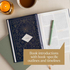 CSB Women's Study Bible, Sage SuedeSoft LeatherTouch - Case of 10