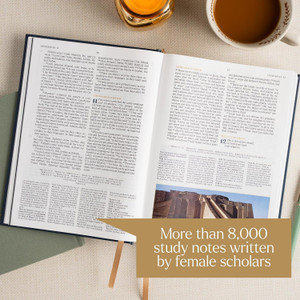 CSB Women's Study Bible, Sage SuedeSoft LeatherTouch - Case of 10