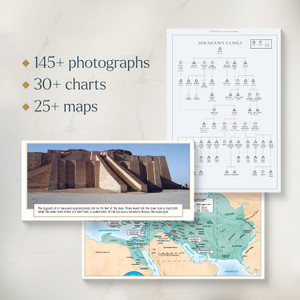 CSB Women's Study Bible, Peacock LeatherTouch - Case of 10