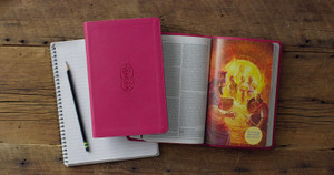 ESV Holy Bible for Kids (TruTone, Berry, The True Vine Design) - Case of 16