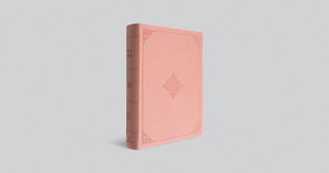 ESV Giant Print Bible, Red Letter (TruTone, Pink, Fleur-de-lis Design): Holy Bible, English Standard Version - Case of 10