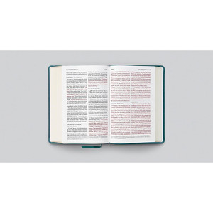 ESV Large Print Personal Size Bible, Red Letter (TruTone, Deep Teal, Emblem Design) - Case of 10
