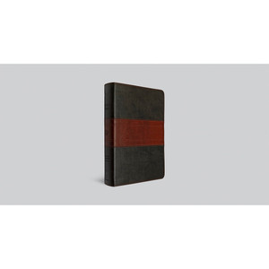 ESV Large Print Personal Size Bible, Red Letter (TruTone, Forest/Tan, Trail Design): Holy Bible, English Standard Version - Case of 10