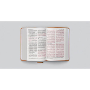 ESV Large Print Personal Size Bible, Red Letter (TruTone, Nubuck Caramel, Wildflower Design) - Case of 10