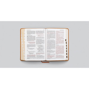 ESV Large Print Personal Size Bible, Red Letter, Thumb Indexed (TruTone, Nubuck Caramel, Wildflower Design) - Case of 16