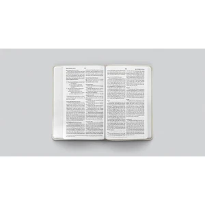 ESV Large Print Value Thinline Bible - River Stone, Branch Design Trutone - Case of 24