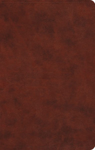 ESV Large Print Value Thinline Bible - Chestnut Trutone - Case of 24