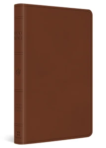 ESV Large Print Value Thinline Bible - Camel Trutone - Case of 24