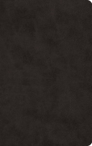 ESV Large Print Value Thinline Bible - Black Trutone - Case of 24 ESV Large Print Value Thinline Bible - Black Trutone - Case of 24