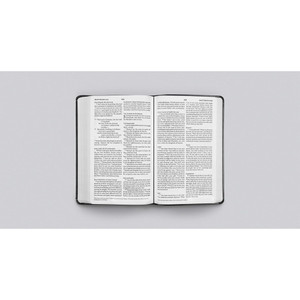 ESV Large Print Value Thinline Bible - Black Trutone - Case of 24